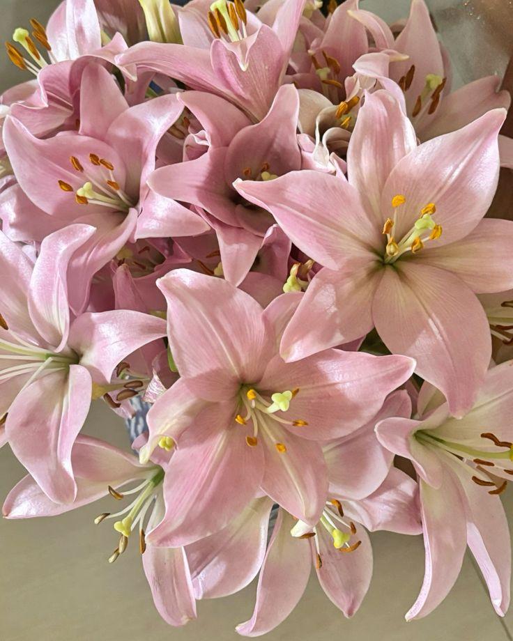 Velvet Dream Whispers Floral Symphony