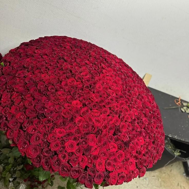Enchanted Twilight Serenade Arrangement